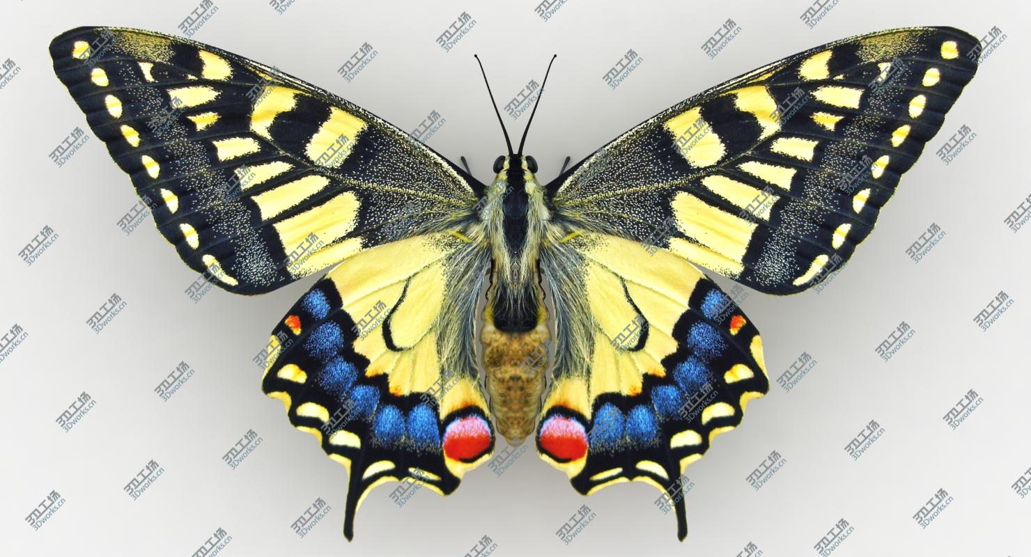 images/goods_img/20210319/3D Butterfly Collection 2 model/4.jpg